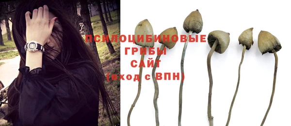 дурь Покачи
