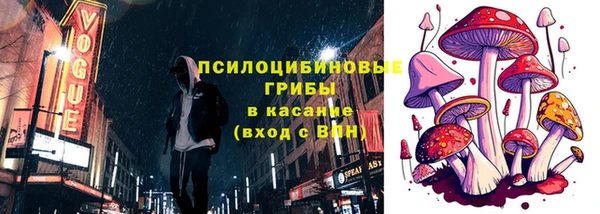 хмурый Покров