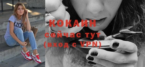хмурый Покров