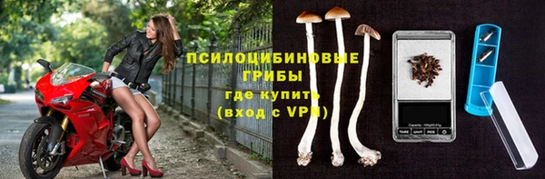 дурь Покачи