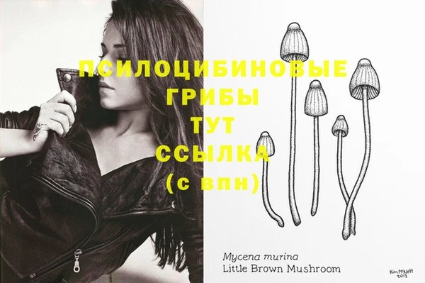 Альфа ПВП Абинск